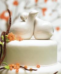 Love Birds Cake Topper