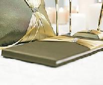 Thymless Guest Book