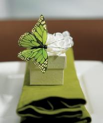 Hand Painted Butterflies