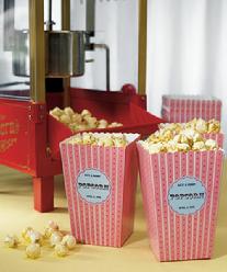 8670 Popcorn Favour Boxes