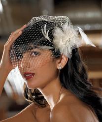 Bird Cage Veil