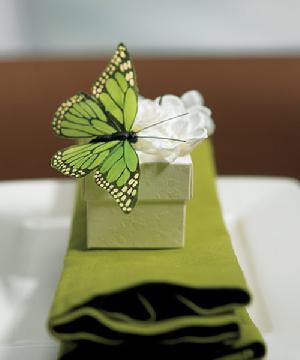 Hand Painted Butterflies